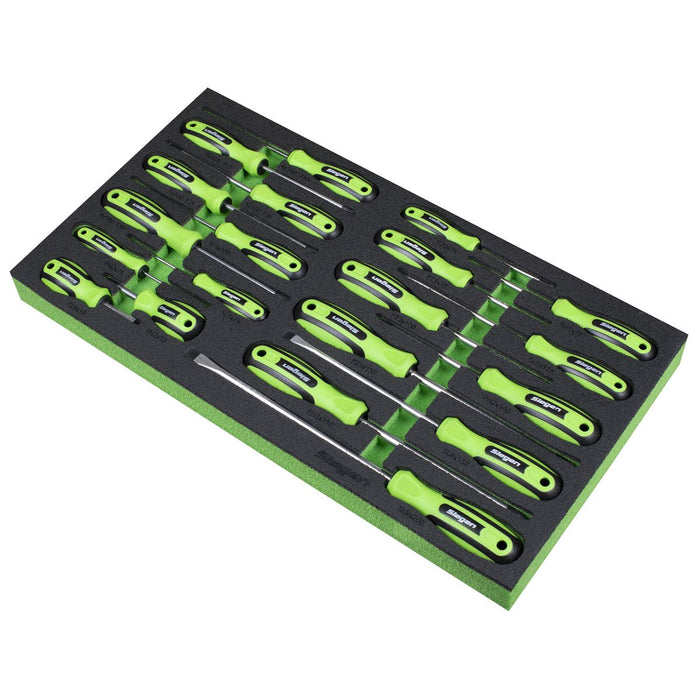 Siegen Siegen Screwdriver Set with Tool Tray 20pc S01276 Siegen - Dynamic Drive