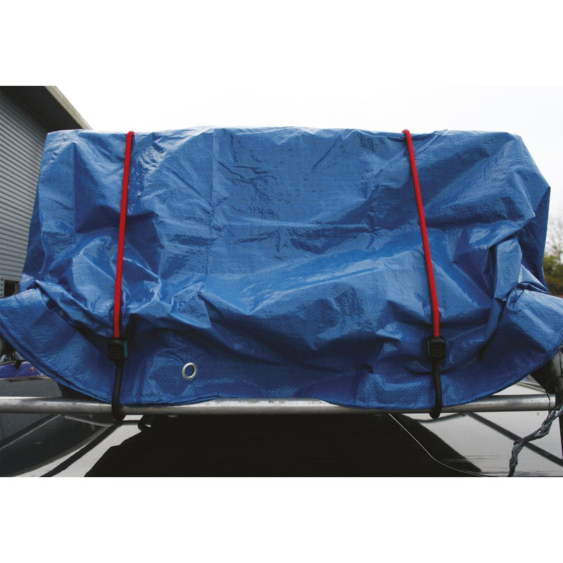 Sealey Bungee Cord Set 2pc 760mm BCS22 Sealey - Dynamic Drive