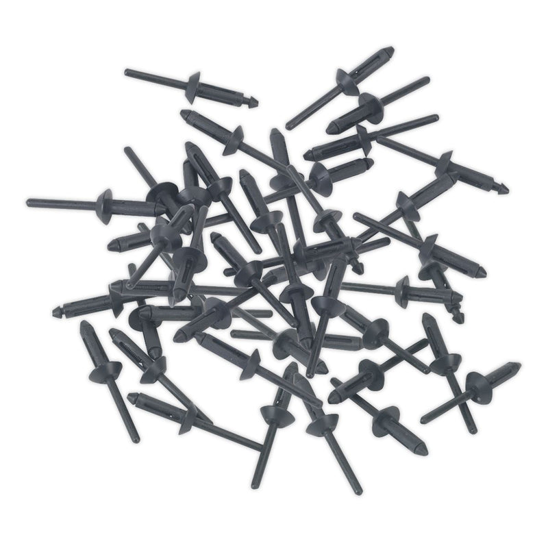 Sealey Plastic Rivet 5 x 15.8mm Pack of 50 PR003 Sealey  - Dynamic Drive