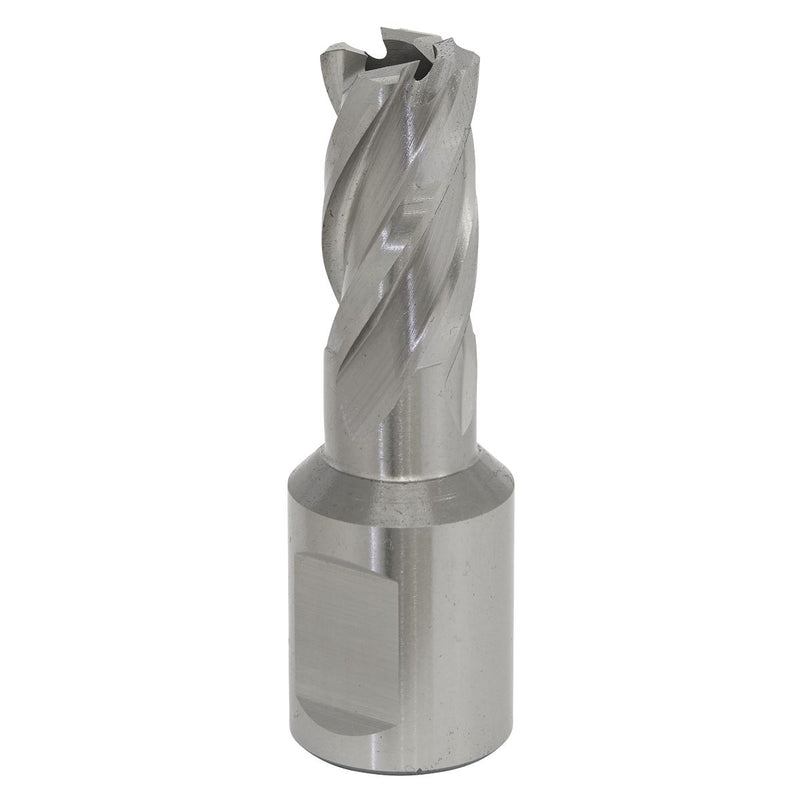 Sealey Rotabor Cutter HSS16mm Cut Depth 25mm RBHSS16S Sealey - Dynamic Drive