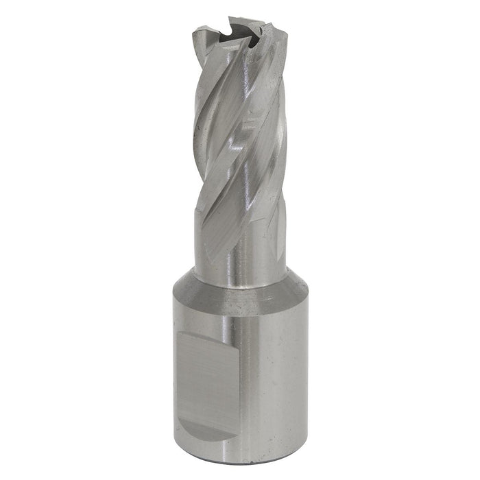 Sealey Rotabor Cutter HSS16mm Cut Depth 25mm RBHSS16S Sealey - Dynamic Drive