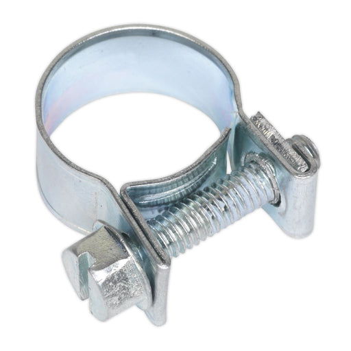 Sealey Mini Hose Clip13-15mm Pack of 30 MHC1315 Sealey - Dynamic Drive