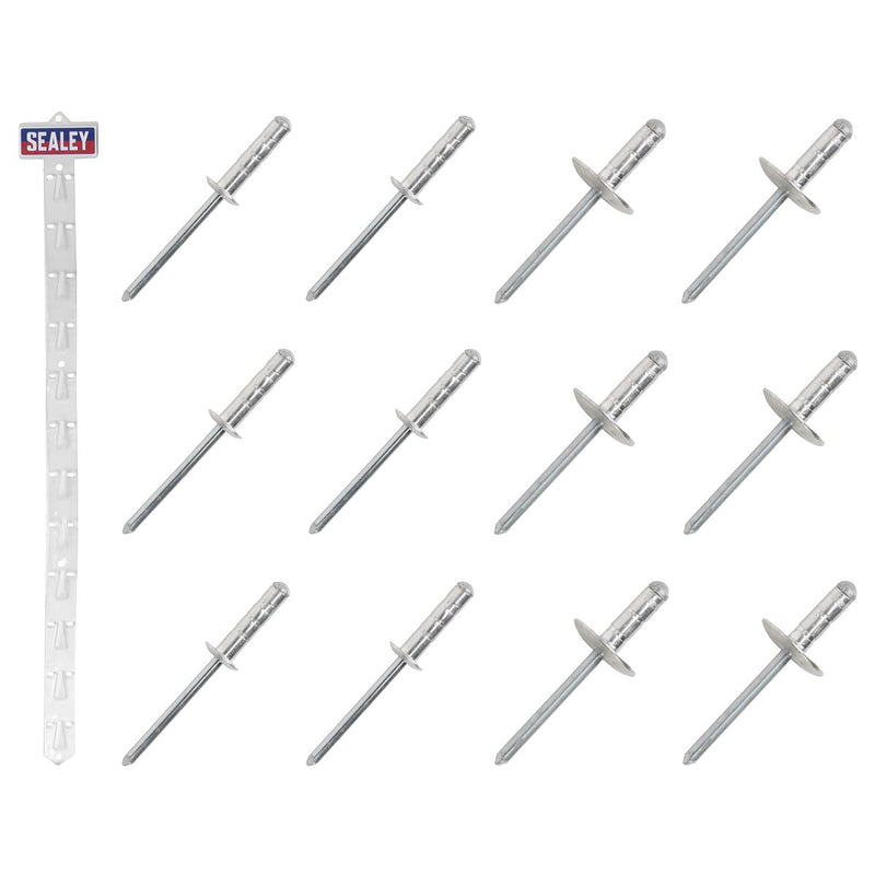 Sealey Clip Strip Deal - Aluminium Rivets RVSET Sealey - Dynamic Drive