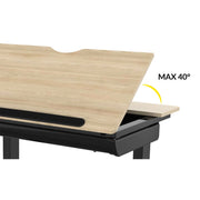 Dellonda Single Motor Ultra-Quiet Electric Adjustable Drawing Table Dellonda - Dynamic Drive