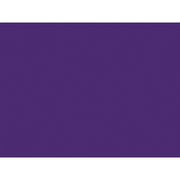 Shurtape Duck Tape® 48mm x 18.2m Purple Shurtape - Dynamic Drive