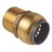 Sealey SharkBiteï Straight Adaptor 22mm x 3/4"BSPT Brass SBA22BSA Sealey - Dynamic Drive