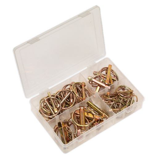 Sealey Linch Pin Assortment 50pc Metric AB022LP Sealey - Dynamic Drive