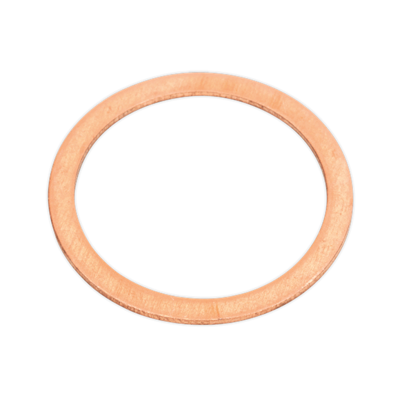 Sealey Diesel Injector Copper Washer Assortment 250pc Metric AB027CW Sealey - Dynamic Drive