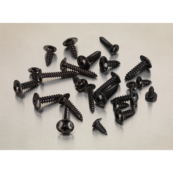 Sealey Self Tapping Screw Assortment 700pc Flanged Head AB066STBK Sealey - Dynamic Drive