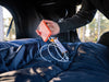 TentBox Bar Light TENTBOX - Dynamic Drive