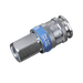 Sealey Coupling Body Female 1/4"BSP AC29 Sealey - Dynamic Drive