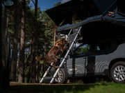 Tentbox LadderSteps TENTBOX - Dynamic Drive