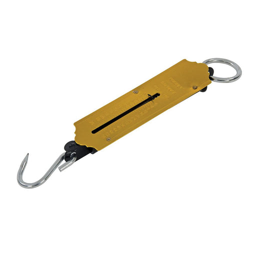 Silverline Spring Balance 25kg Silverline - Dynamic Drive