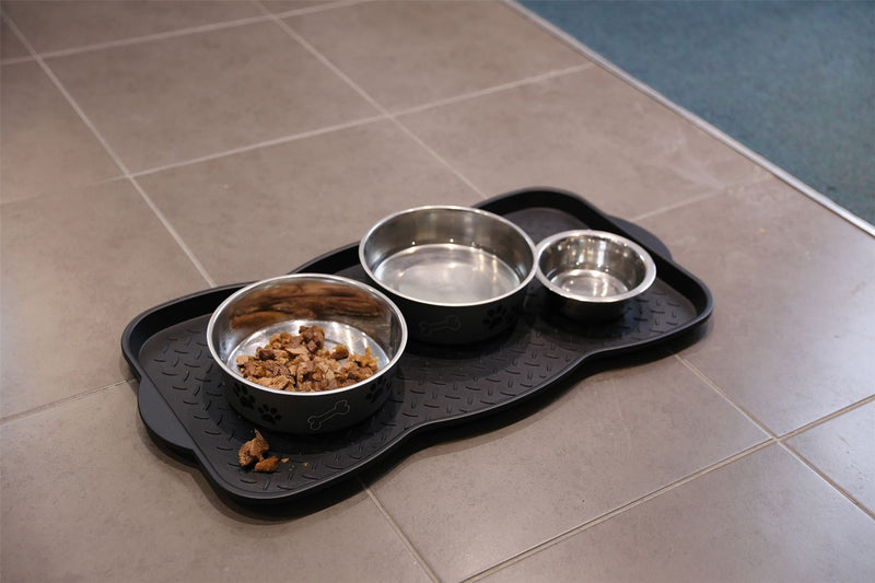 Quest King of all trays Quest - Dynamic Drive