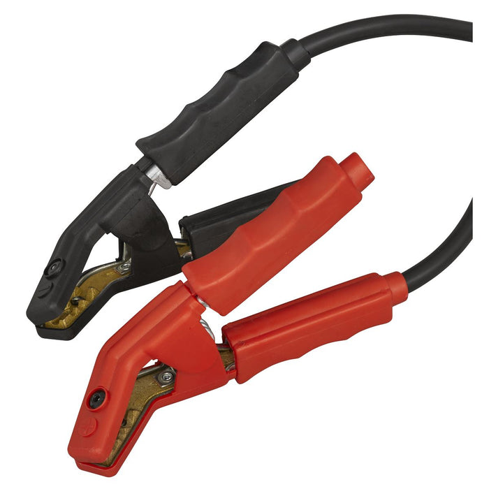Sealey 12V Battery Support Unit & Charger 100A BSCU170 Sealey - Dynamic Drive