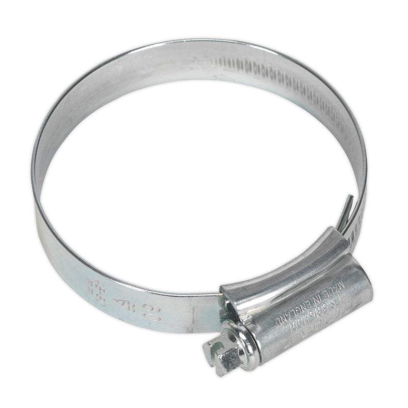 Sealey HI-GRIP Hose Clip Zinc Plated 45-60mm Pack of 20 HCJ2X Sealey  - Dynamic Drive