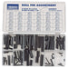 Draper Roll Pin Assortment (120 Piece) 63943 Draper - Dynamic Drive