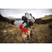 Ruffwear Palisades Dog Backpack in Red Sumac (L / XL) Ruffwear - Dynamic Drive