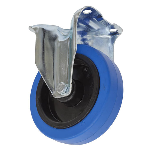 Sealey Castor Wheel Fixed Plate125mm SCW3125FP Sealey - Dynamic Drive