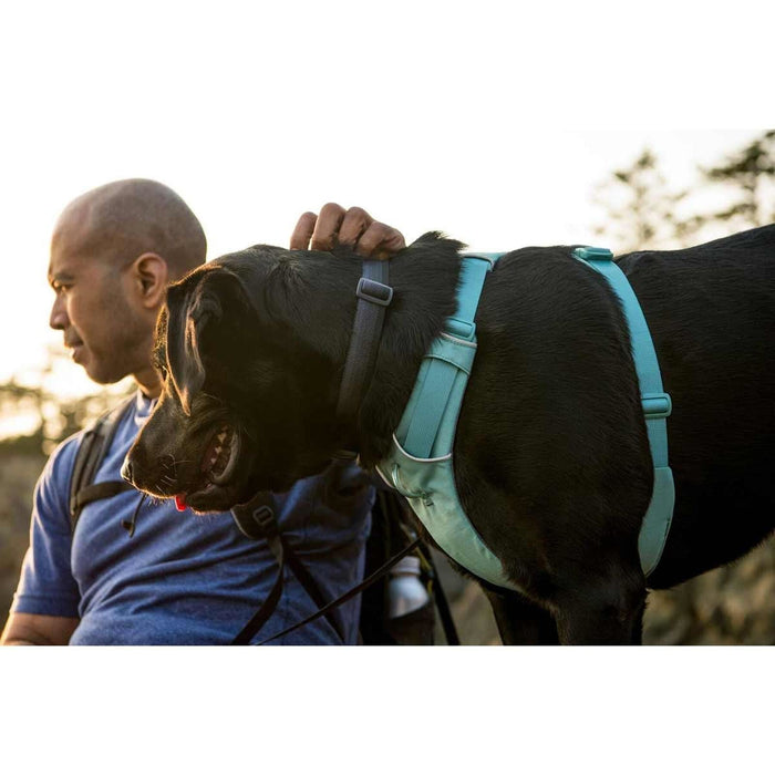 Ruffwear Front Range Dog Harness in River Rock Green (X Small) Ruffwear - Dynamic Drive