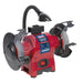 Sealey Bench Grinder & Vice Stand Deal BGVDSCOMBO4 Sealey - Dynamic Drive