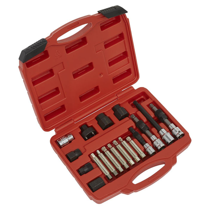 Sealey Alternator Freewheel Pulley Removal Set 18pc SX402 Sealey - Dynamic Drive