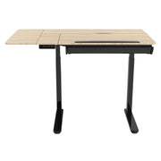 Dellonda Single Motor Ultra-Quiet Electric Adjustable Drawing Table Dellonda - Dynamic Drive