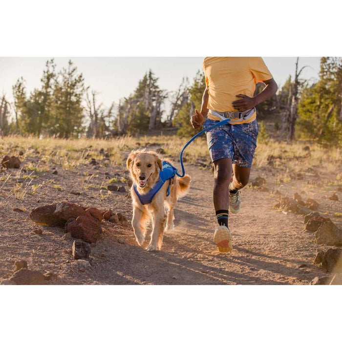 Ruffwear Trail Runner Belt in Blue Pool (L / XL) Ruffwear - Dynamic Drive