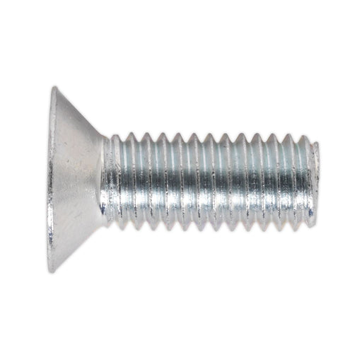 Sealey Machine (Body) Screw Assortment 264pc M5-M8 Countersunk & Pan Head Pozi M Sealey - Dynamic Drive