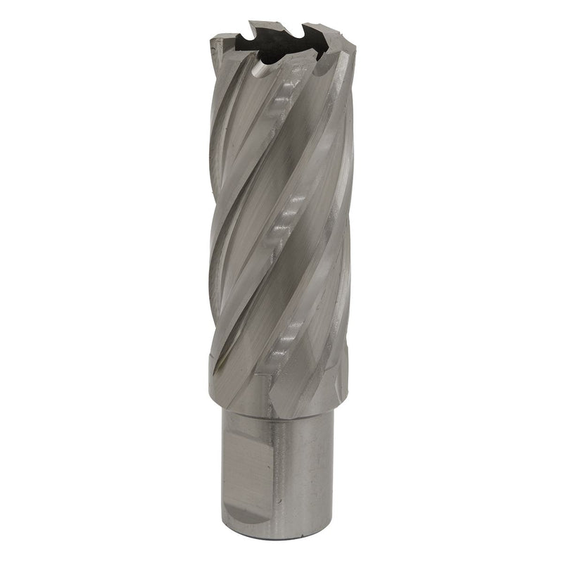 Sealey Rotabor Cutter HSS24mm Cut Depth 50mm RBHSS24L Sealey - Dynamic Drive