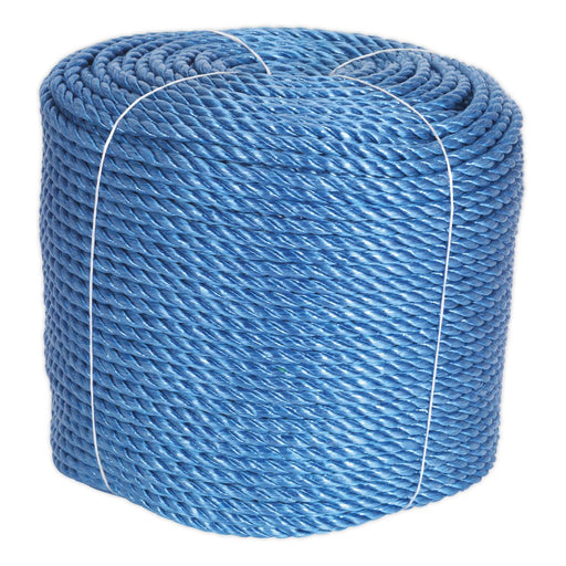 Sealey Polypropylene Rope10mm x 220m RC10220 Sealey - Dynamic Drive