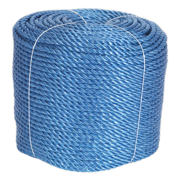 Sealey Polypropylene Rope10mm x 220m RC10220 Sealey - Dynamic Drive