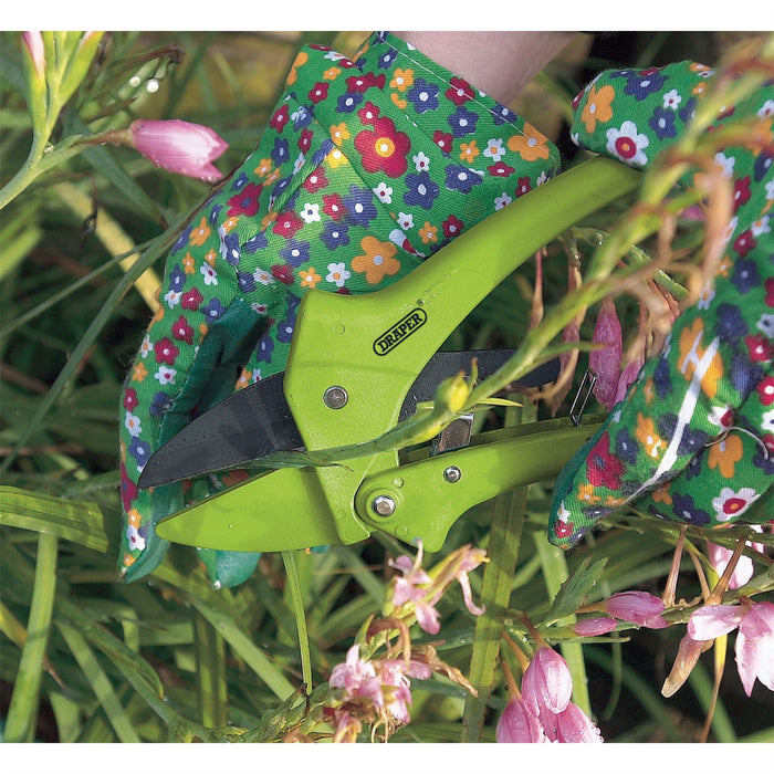 Draper Ratchet Action Anvil Pattern Secateurs, 190mm 34478 Draper - Dynamic Drive