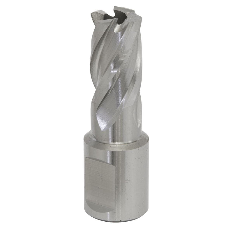 Sealey Rotabor Cutter HSS15mm Cut Depth 25mm RBHSS15S Sealey - Dynamic Drive