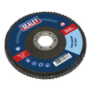 Sealey Flap Disc Zirconium125mm22mm Bore 60Grit FD12560 Sealey - Dynamic Drive