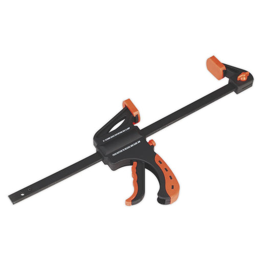 Sealey Ratchet Bar Clamp 300mm AK6102 Sealey - Dynamic Drive