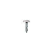 Connect Number Plate Screw 10 x 1" White Polytop 100pc 31546 Tool Connection - Dynamic Drive
