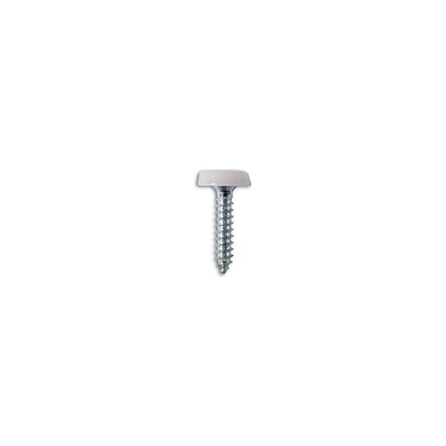 Connect Number Plate Screw 10 x 1" White Polytop 100pc 31546 Tool Connection - Dynamic Drive