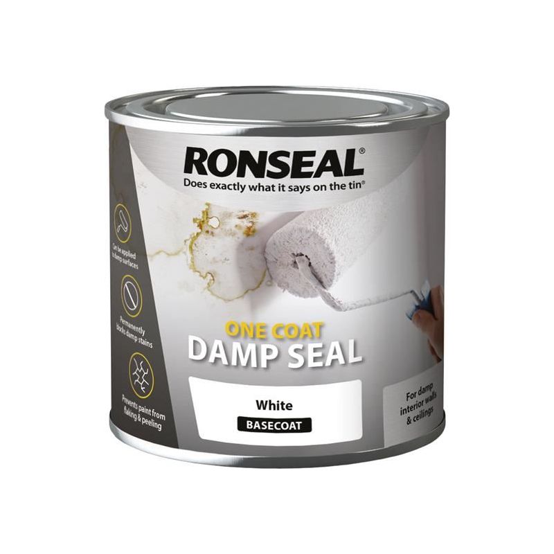 Ronseal Anti Condensation Paint White Matt 750ml Ronseal - Dynamic Drive