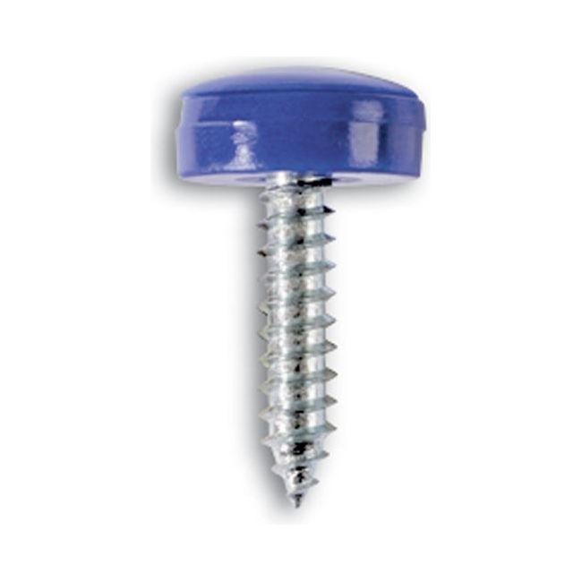 Connect Number Plate Security Screws 6 x 20mm Blue Cap 100pc 30336 Tool Connection - Dynamic Drive