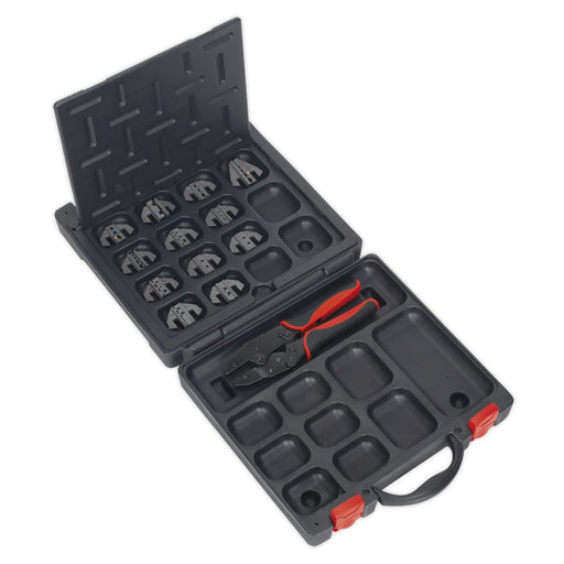 Sealey Ratchet Crimping Tool with Jaws and Storage Case AK3858COMBO Sealey - Dynamic Drive