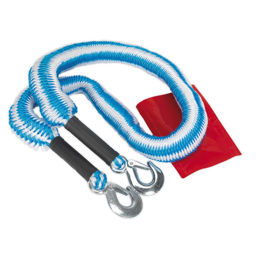 Sealey Tow Rope 2000kg Rolling Load Capacity TH2502 Sealey - Dynamic Drive