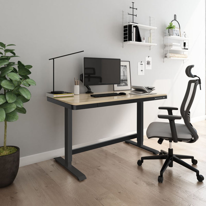 Dellonda Single Motor Electric Desk with Control Panel USB Port & Drawer Dellonda - Dynamic Drive