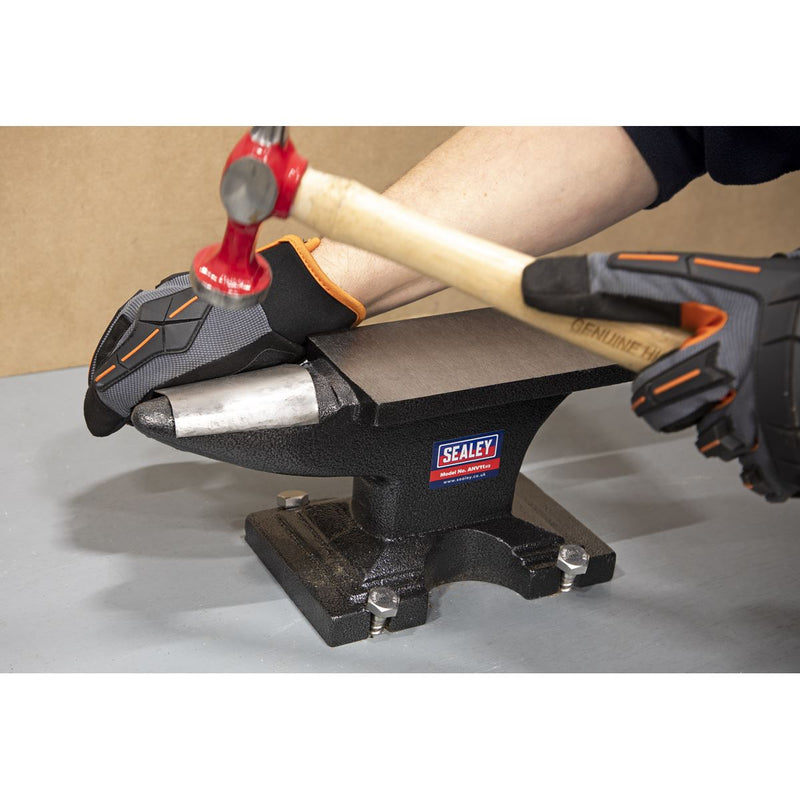 Sealey Anvil 11kg ANV11 Sealey - Dynamic Drive