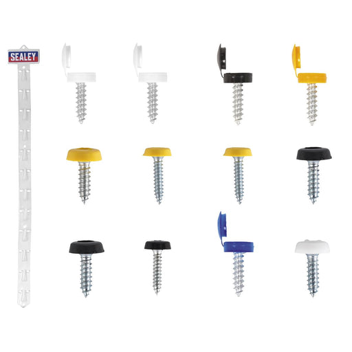 Sealey Clip Strip Deal - Mixed Numberplate Screws NPSSET Sealey - Dynamic Drive