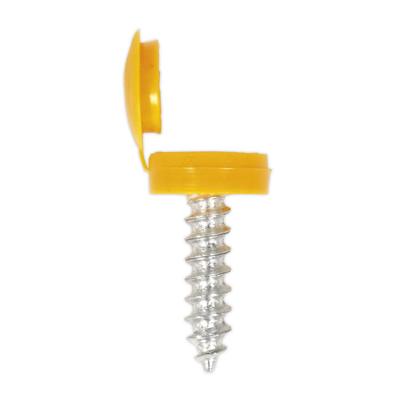 Sealey Clip Strip Deal - Mixed Numberplate Screws NPSSET Sealey - Dynamic Drive