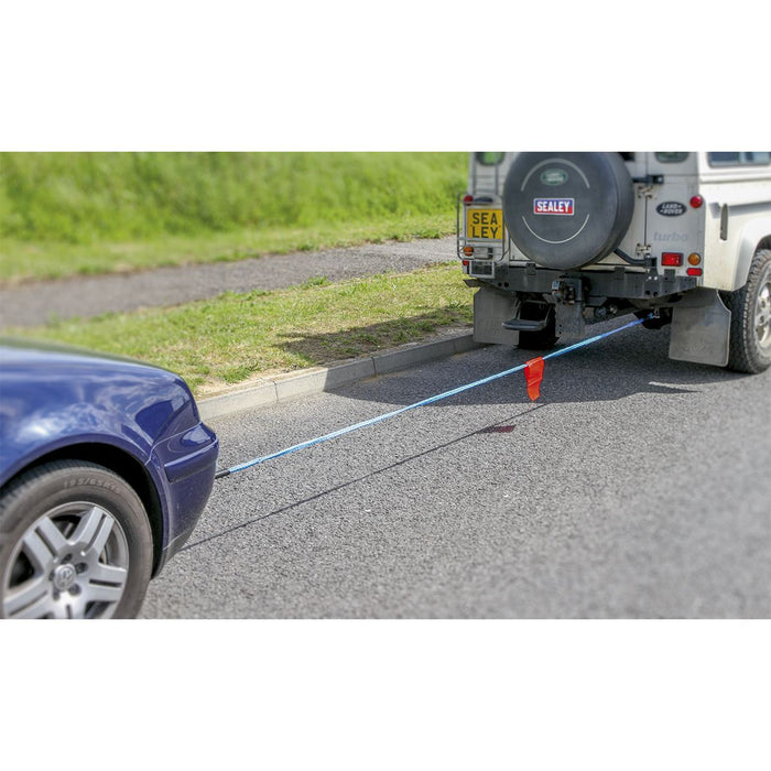 Sealey Tow Rope 2000kg Rolling Load Capacity TH2502 Sealey - Dynamic Drive