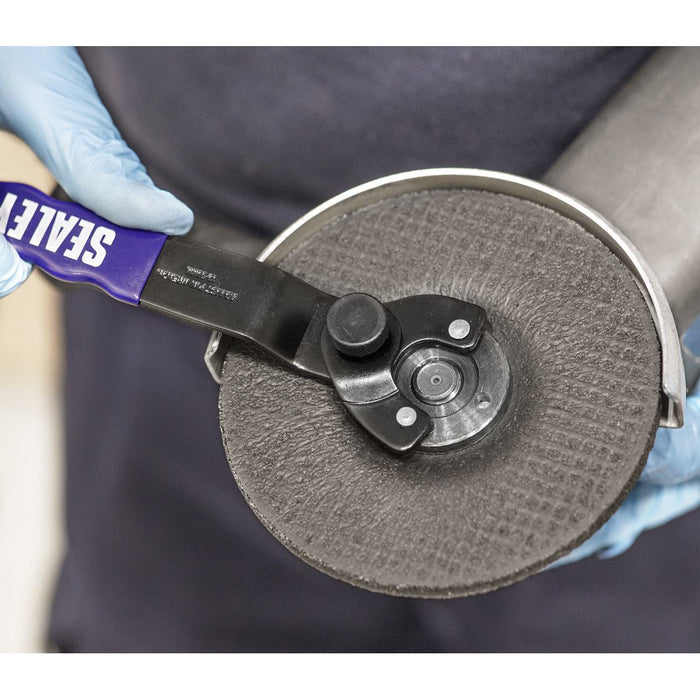 Sealey Universal Pin Spanner 10-30mm PTC/UPW Sealey - Dynamic Drive
