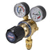 Sealey SGA30 Oxygen Regulator Sealey - Dynamic Drive