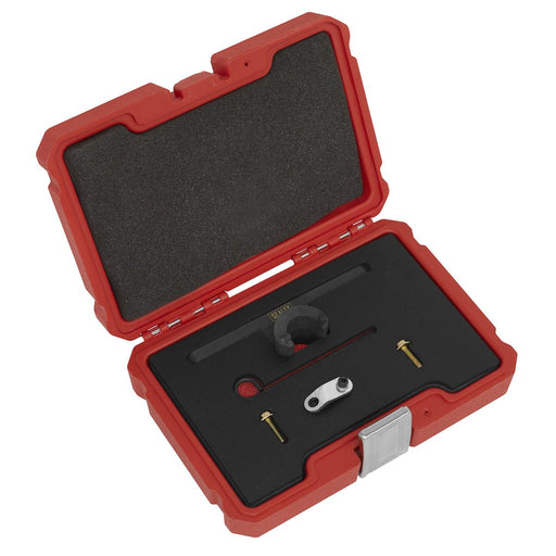 Sealey Oil Pump & Balance Shaft Alignment Kit for BMW 2.0 N20/N26 Chain Drive Sealey - Dynamic Drive